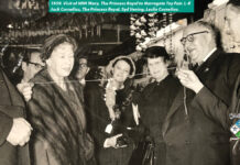 A true toytrade dynasty Playwrite Group Har