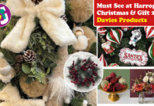 Must See at Christmas & Gift: Davies Products Must See Davies Prods