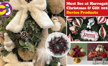 Must See Davies Prods