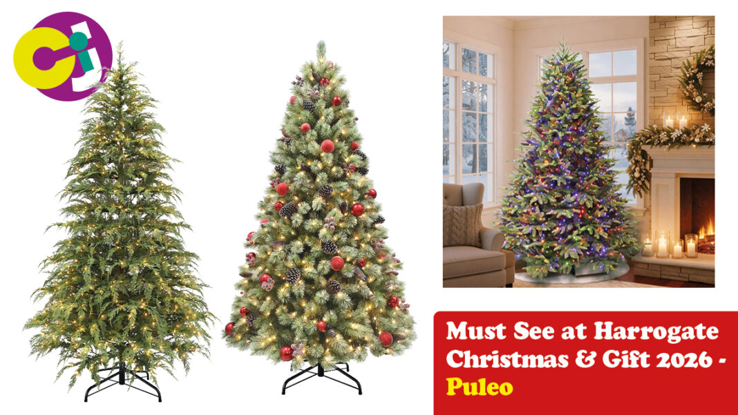 Web CiJ Template Must See Puleo